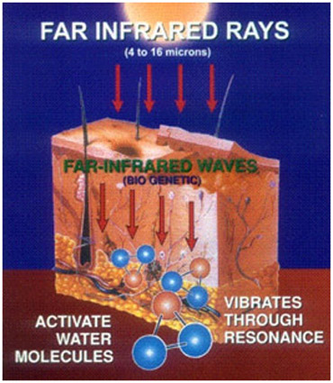 Bio Waves